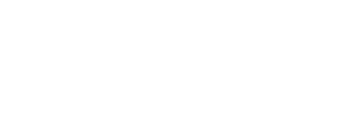 Flagship core charitable contributions